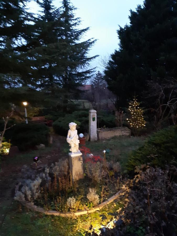 Villa-Magdi Vendeghaz Revfulop Bagian luar foto