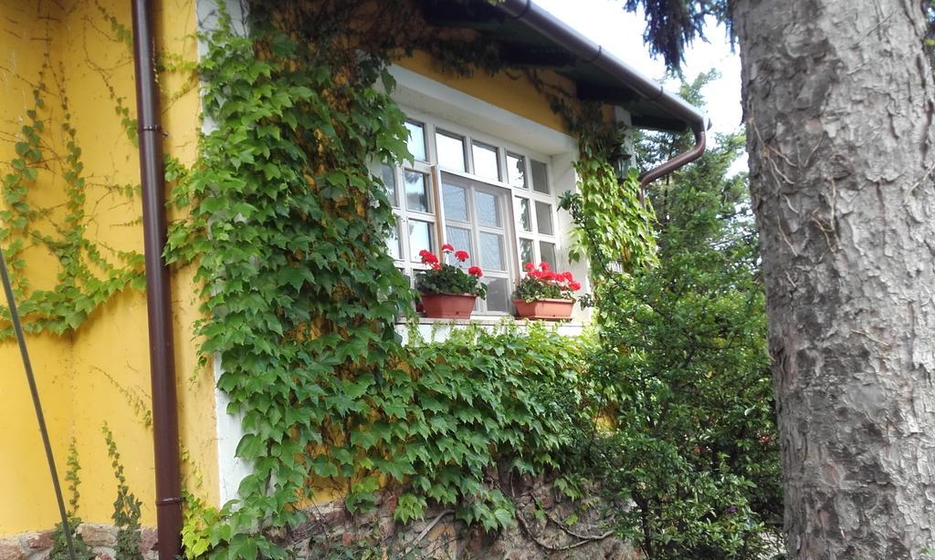 Villa-Magdi Vendeghaz Revfulop Bagian luar foto