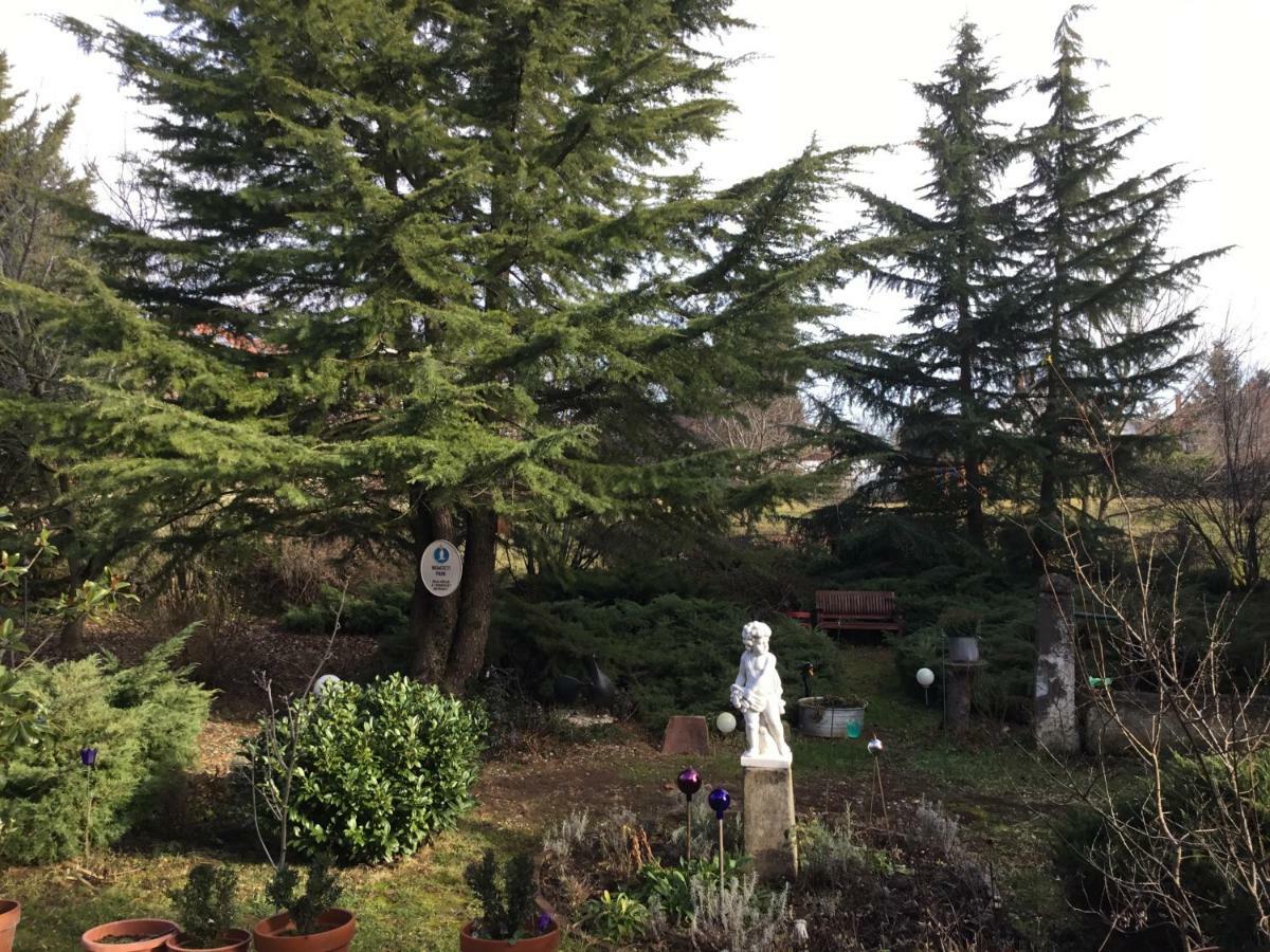 Villa-Magdi Vendeghaz Revfulop Bagian luar foto