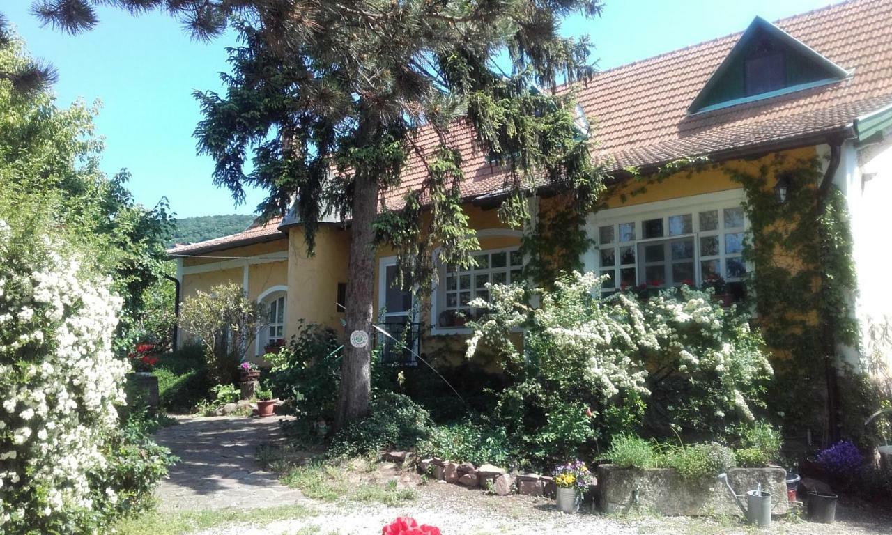 Villa-Magdi Vendeghaz Revfulop Bagian luar foto