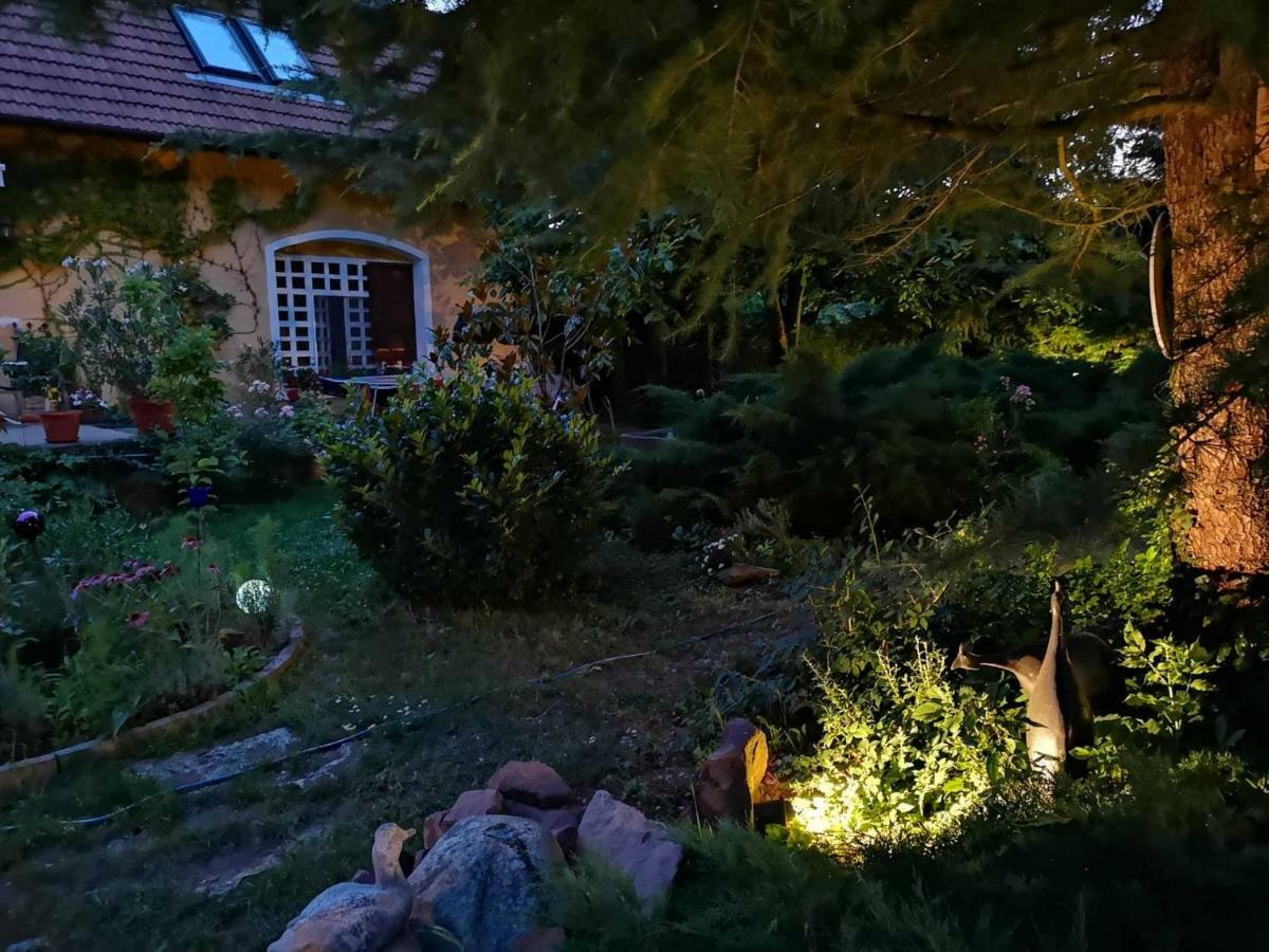 Villa-Magdi Vendeghaz Revfulop Bagian luar foto