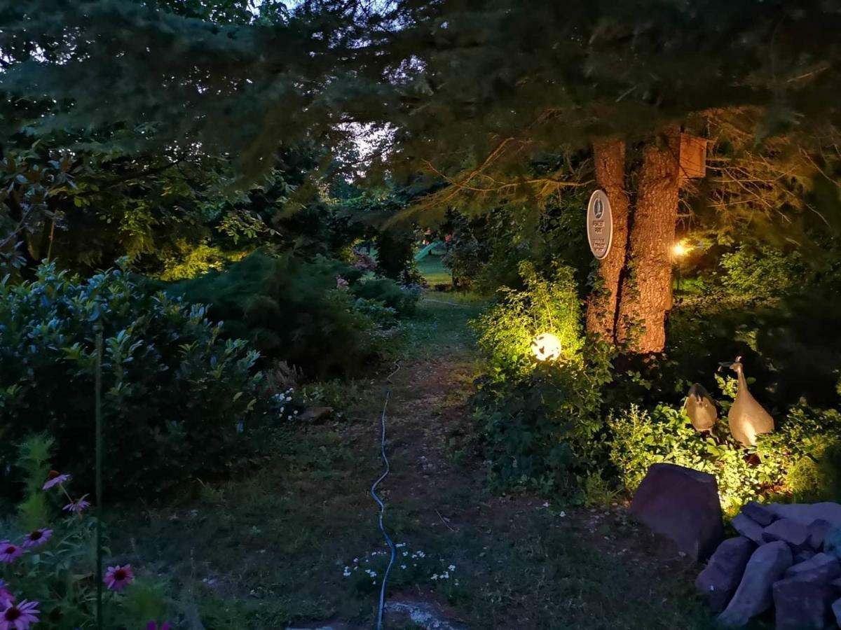 Villa-Magdi Vendeghaz Revfulop Bagian luar foto