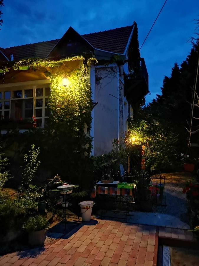 Villa-Magdi Vendeghaz Revfulop Bagian luar foto