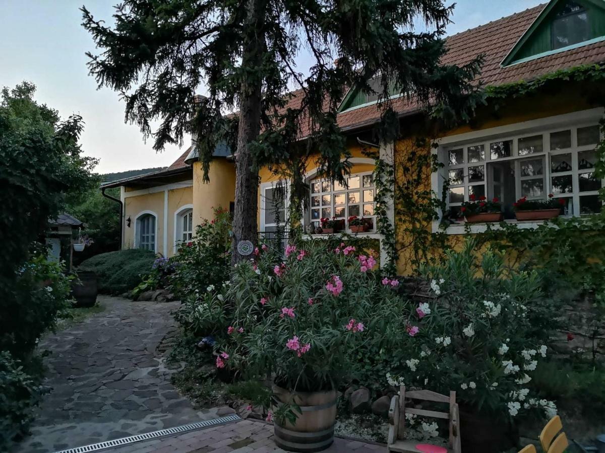 Villa-Magdi Vendeghaz Revfulop Bagian luar foto